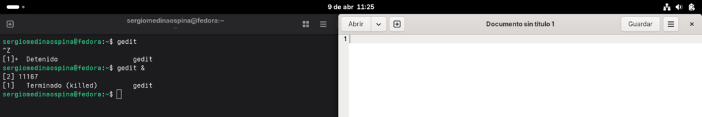 terminal mostrando el PID de gedit y el prompt disponible